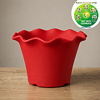 Blossom Pot – Premium Scalloped Nursery