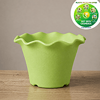 Blossom Pot – Premium Scalloped Nursery