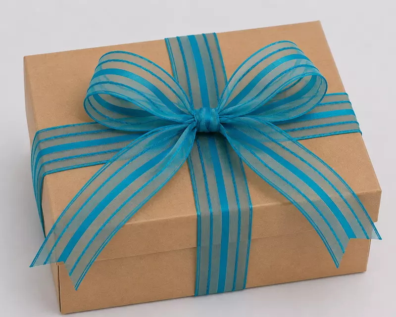 Sheer ribbon with Satin Stripe-Turquoise Blue-4 cms-10 yards