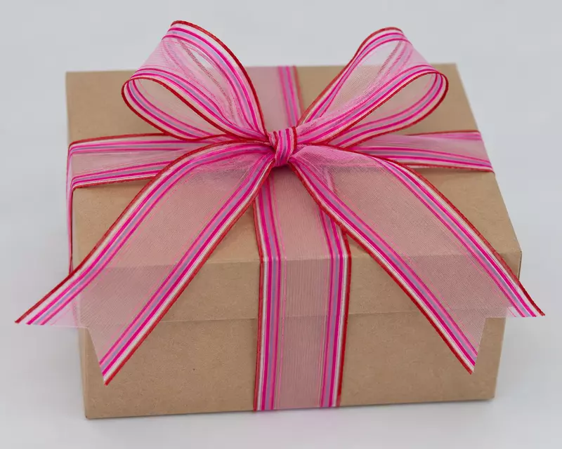 Plum Sheer Ribbon with Striped Edges