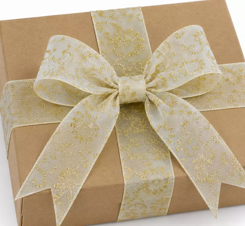 Ivory Sheer with Glitter Delicate Flower Pattern