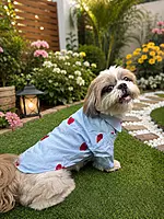 Embroidered Red heart Shirt