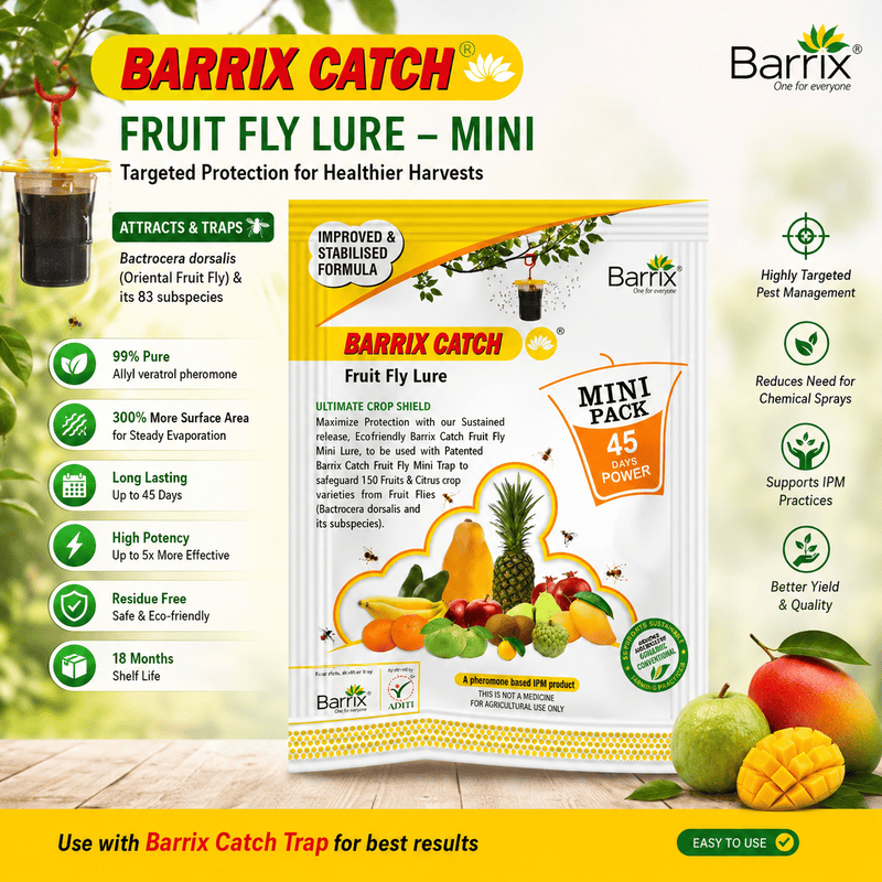 arrix Catch Fruit Fly Lure Mini | Pheromone Trap Lure for Fruit Fly Control