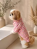 Daisy Picnic Dog Shirt