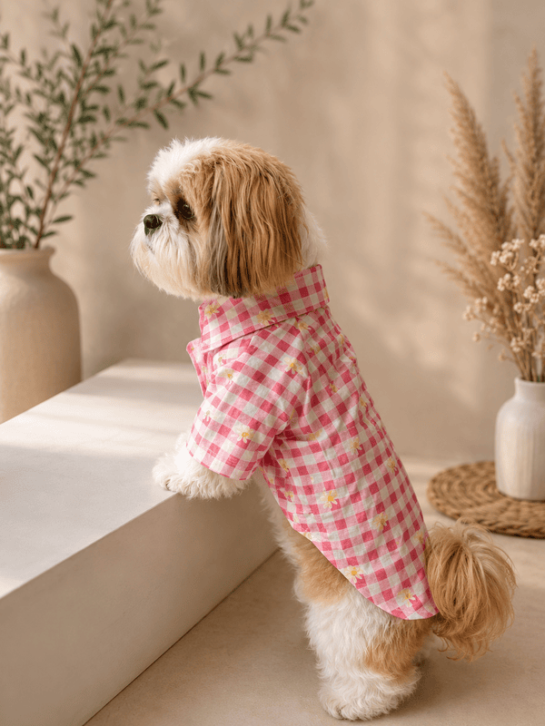 Daisy Picnic Dog Shirt