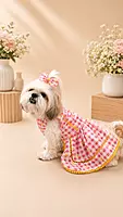 Daisy Picnic Dog Dress