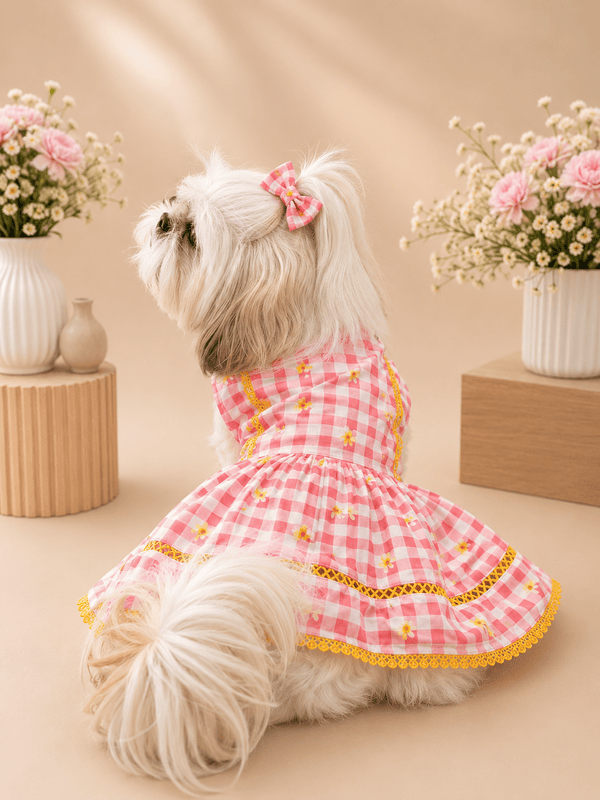 Daisy Picnic Dog Dress