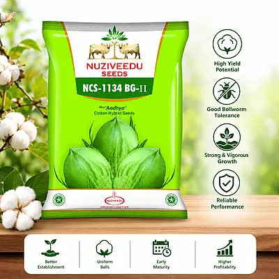 Aadhya Hybrid Cotton Seeds - Early Maturity & Compact Plant