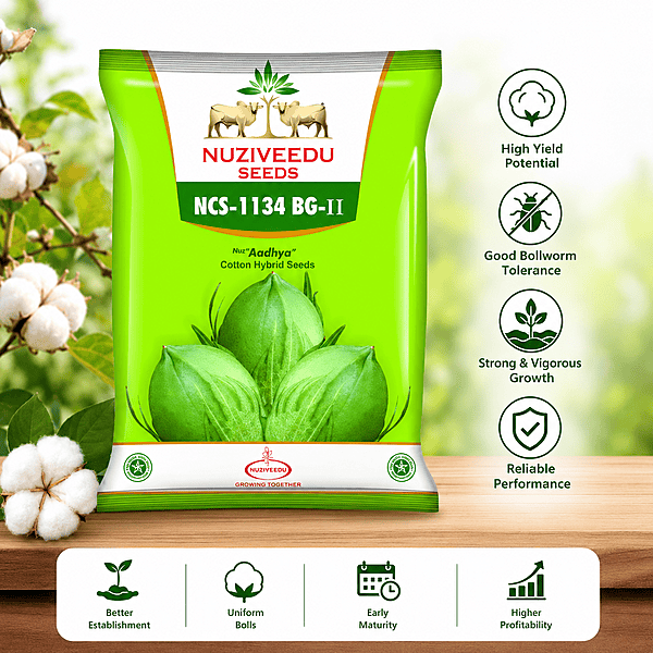 Aadhya Hybrid Cotton Seeds - Early Maturity & Compact Plant
