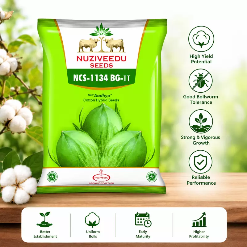Aadhya Hybrid Cotton Seeds - Early Maturity & Compact Plant