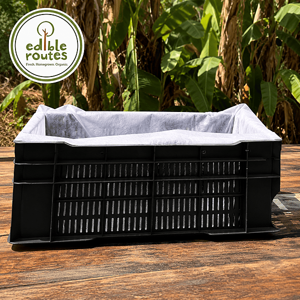 Fruit Crate