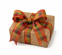 Check Fabric Ribbon