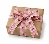 Delicate Flower Check Ribbon