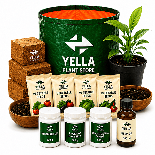 Starter Terrace Garden Kit – Complete Home Gardening Kit