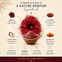 HIBISCUS POWDER CONDITIONER HIBISCUS POWDER CONDITIONER