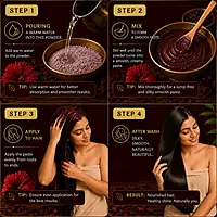 HIBISCUS POWDER CONDITIONER HIBISCUS POWDER CONDITIONER