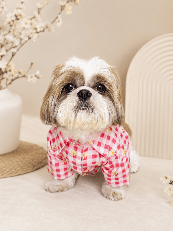 Daisy Picnic Dog Shirt