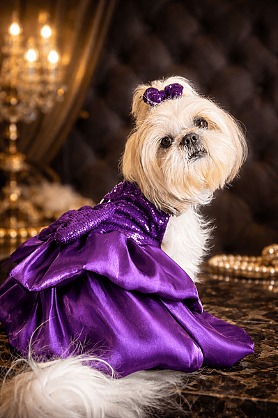 Purple Sequin Party Dress