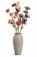 Heirloom Rose Collection