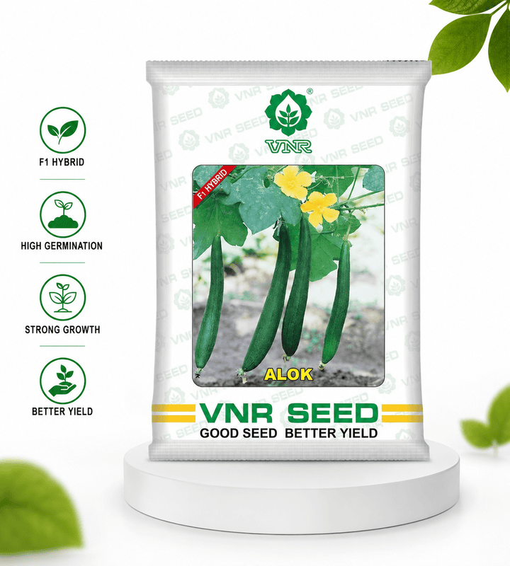 VNR Alok F1 Hybrid Sponge Gourd Seeds - High Yield