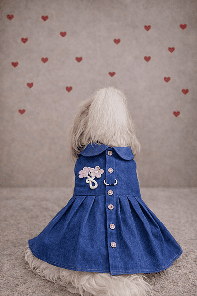 Denim Dress coat style