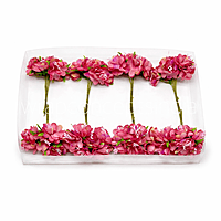 Rose Pink Blossom Flowers