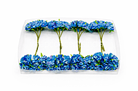 Sapphire Blue Blossom Flowers