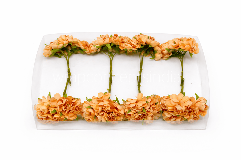 Apricot Peach Blossom Flowers