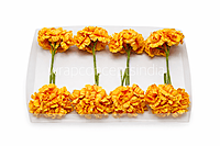 Marigold Mini Blossoms