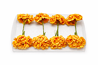 Marigold Mini Blossoms