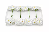 Snow White Mini Blossoms