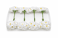 Snow White Mini Blossoms