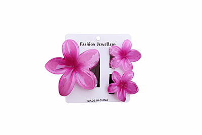 Flower Hair Clip Set (2 Pairs) | Plumeria Design Claw Clips for Women & Girls