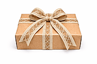 Rustic Natural Jute Lace Trim Ribbon