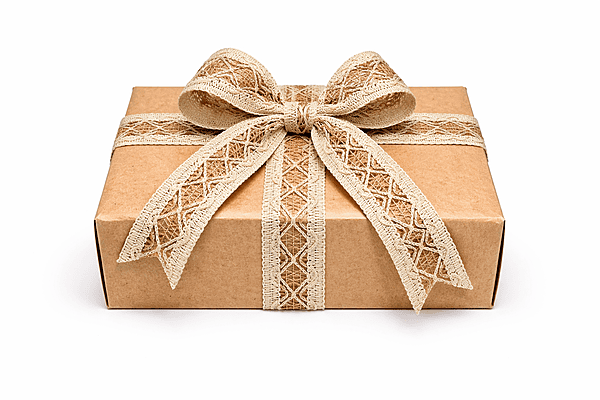 Rustic Natural Jute Lace Trim Ribbon