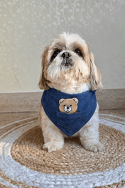 Teddy Denim Bandana