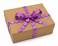 Flower Cut-out Ribbon