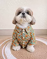 Orange Printed Shirt