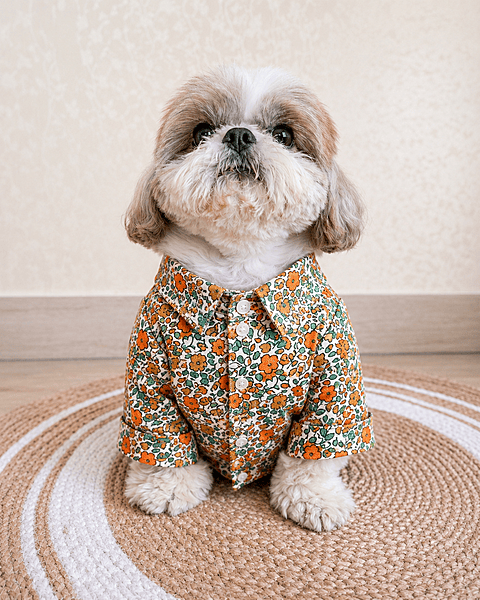 Orange Printed Shirt