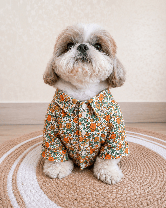 Orange Printed Shirt