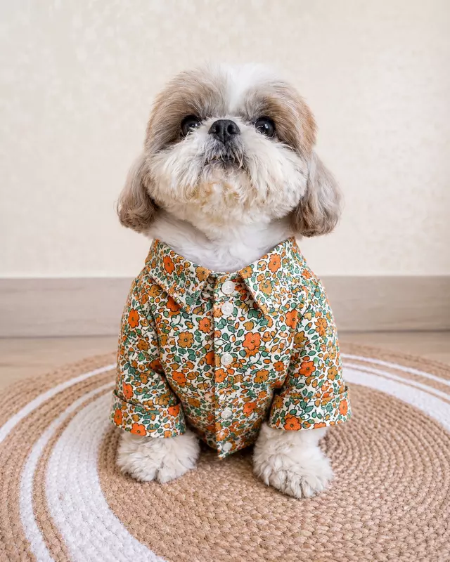 Orange Printed Shirt