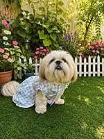Floral Checkered Frock