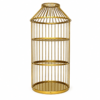 3 1 PINJARA WIRE GOLD ZM