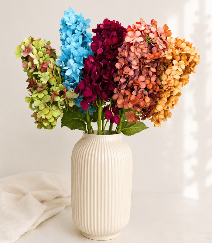 Hydrangeas Stem