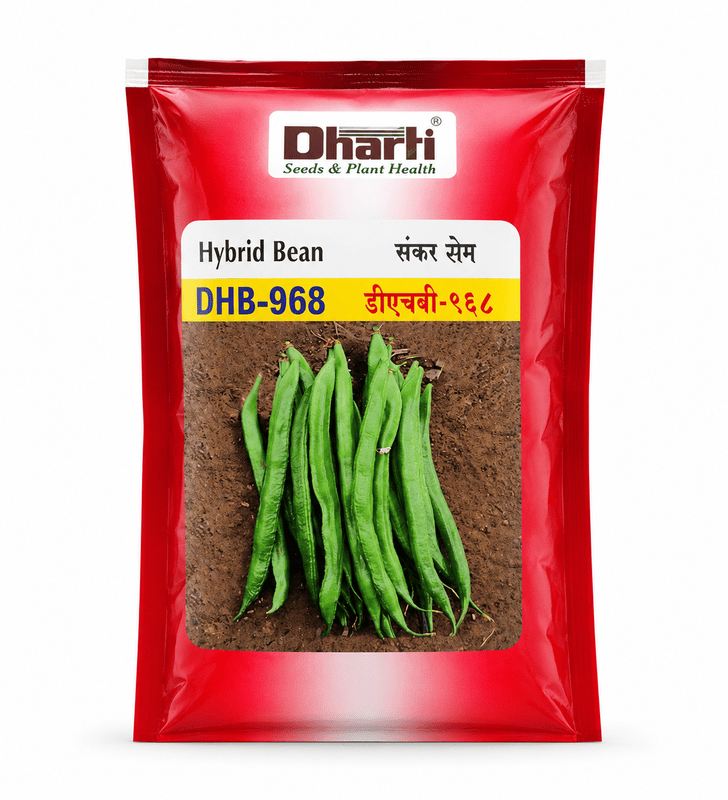 Dharti Seeds DHB 968 Hybrid Indian Bean - 100gm
