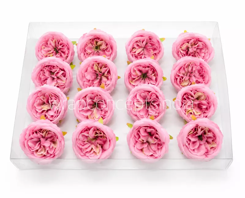 Rose Kiss Peony