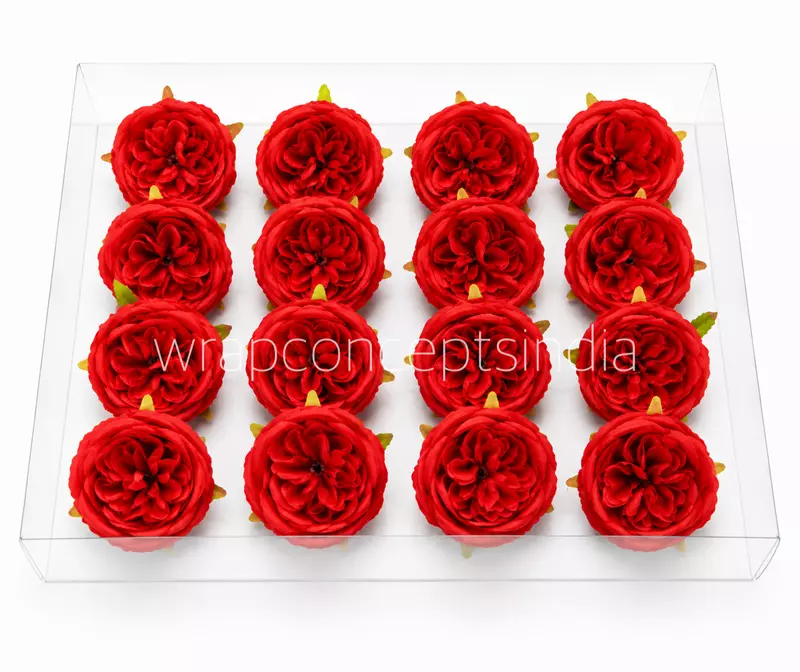 Crimson Peony
