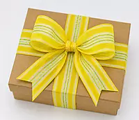Sheer Ribbon with Saddle Stitch Center
