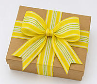 Sheer Ribbon with Saddle Stitch Center