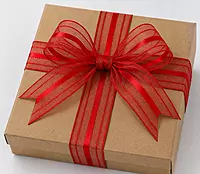 Sheer ribbon with Satin Stripe-Red-4 cms-10 yards
